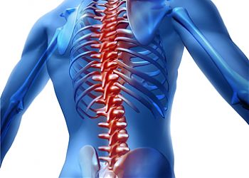 Back or Neck Pain